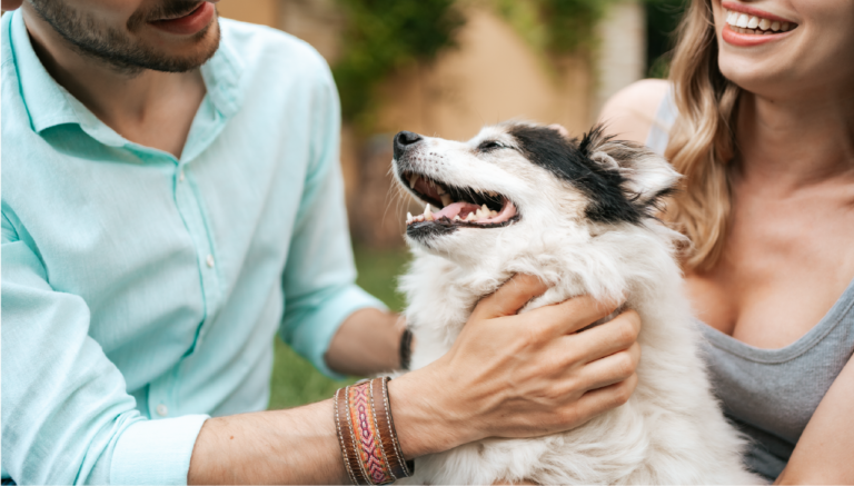 Assurance sante famille et animaux de compagnie
